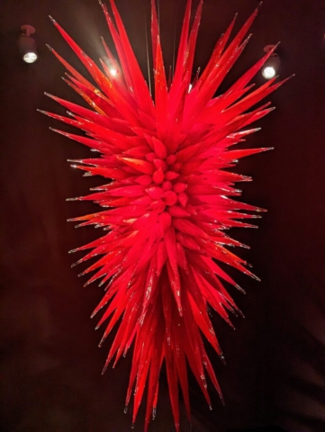 chihuly collection st pete