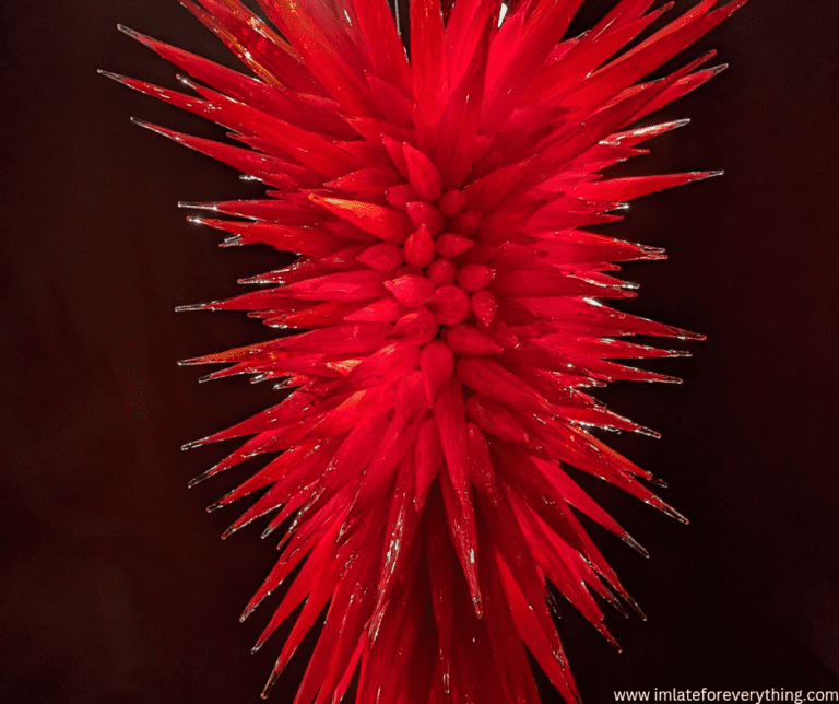 Chihuly Collection: Exploring the Colorful & Vibrant World of Glass Art