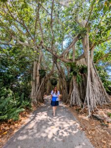 marie selby gardens