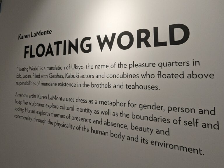 Floating world karen lamonte imagine museum