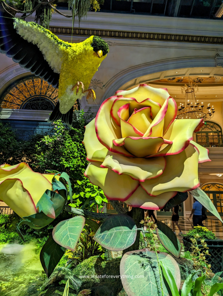 Bellagio Conservatory and Botanical Gardens Las vegas Nevada