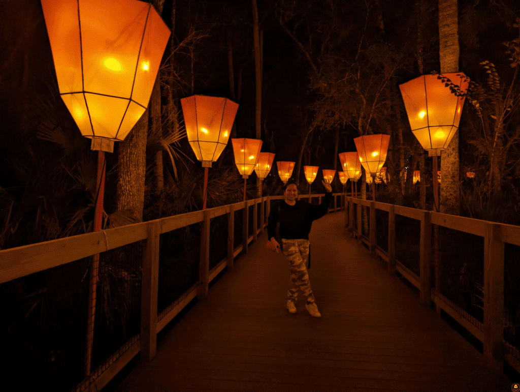 asian lantern festival