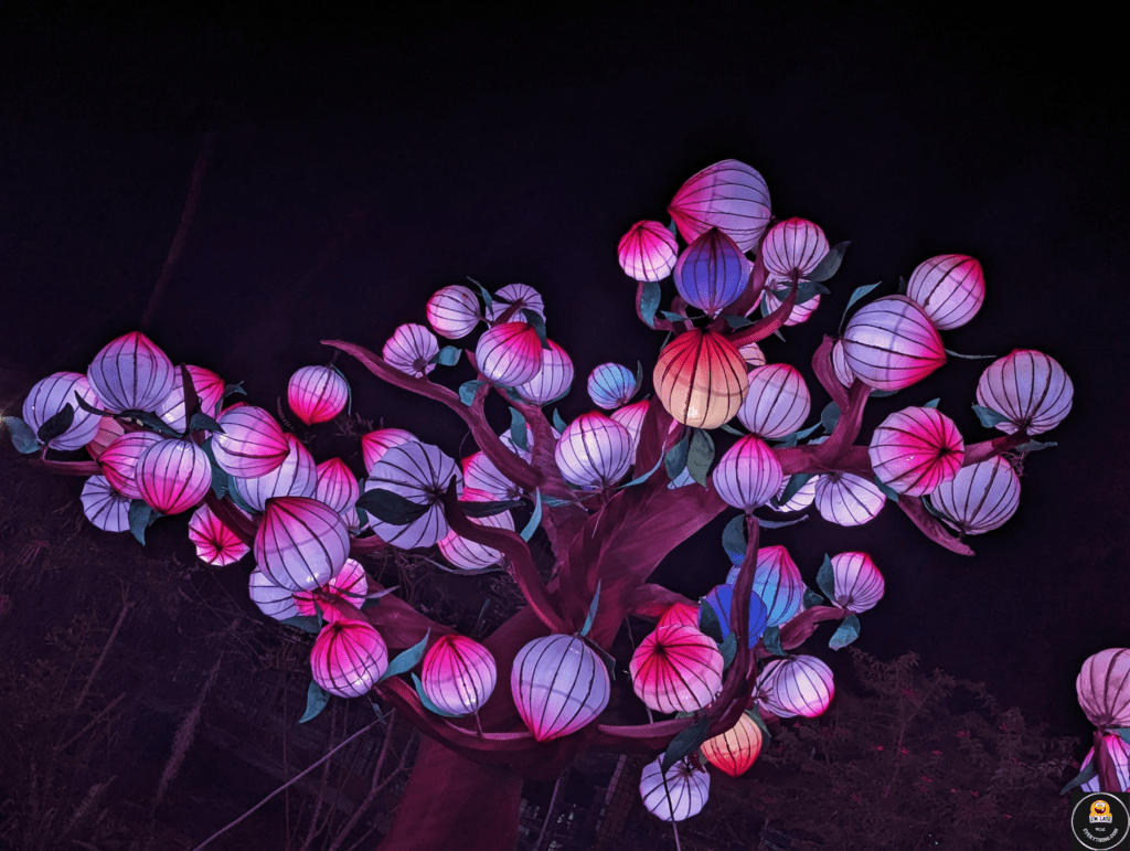 asian lantern festival