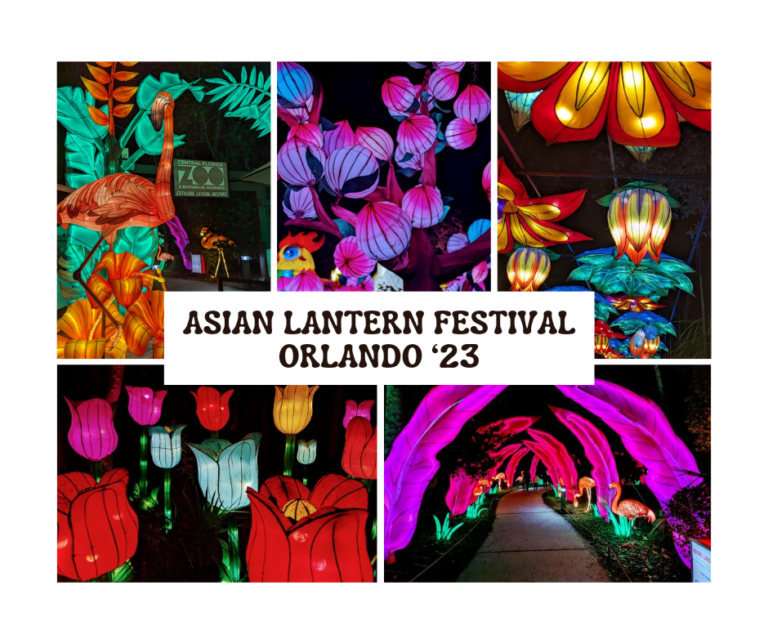 Asian Lantern Festival Orlando 2023: Into The Wild Experience