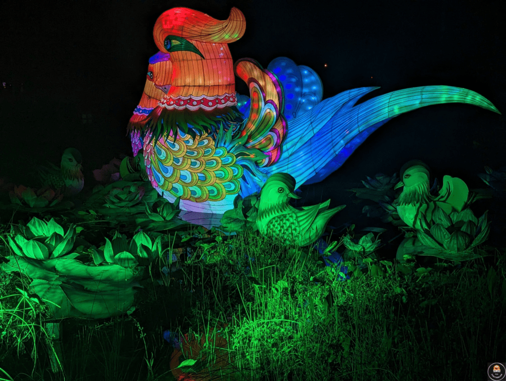 asian lantern festival