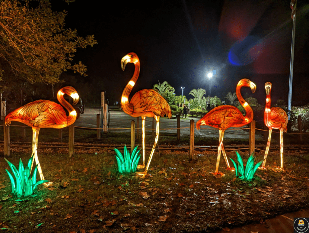 asian lantern festival