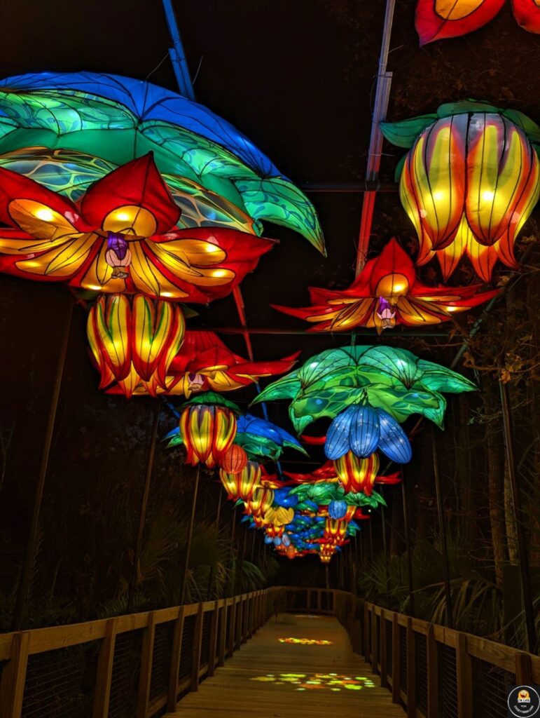 asian lantern festival