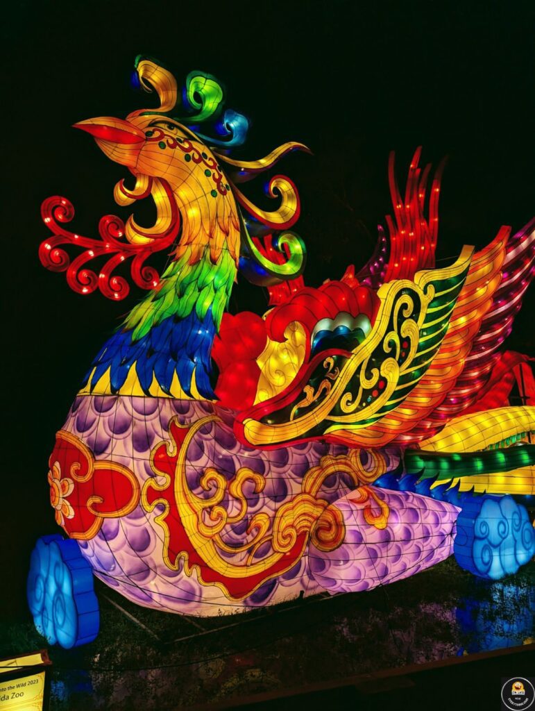 asian lantern festival