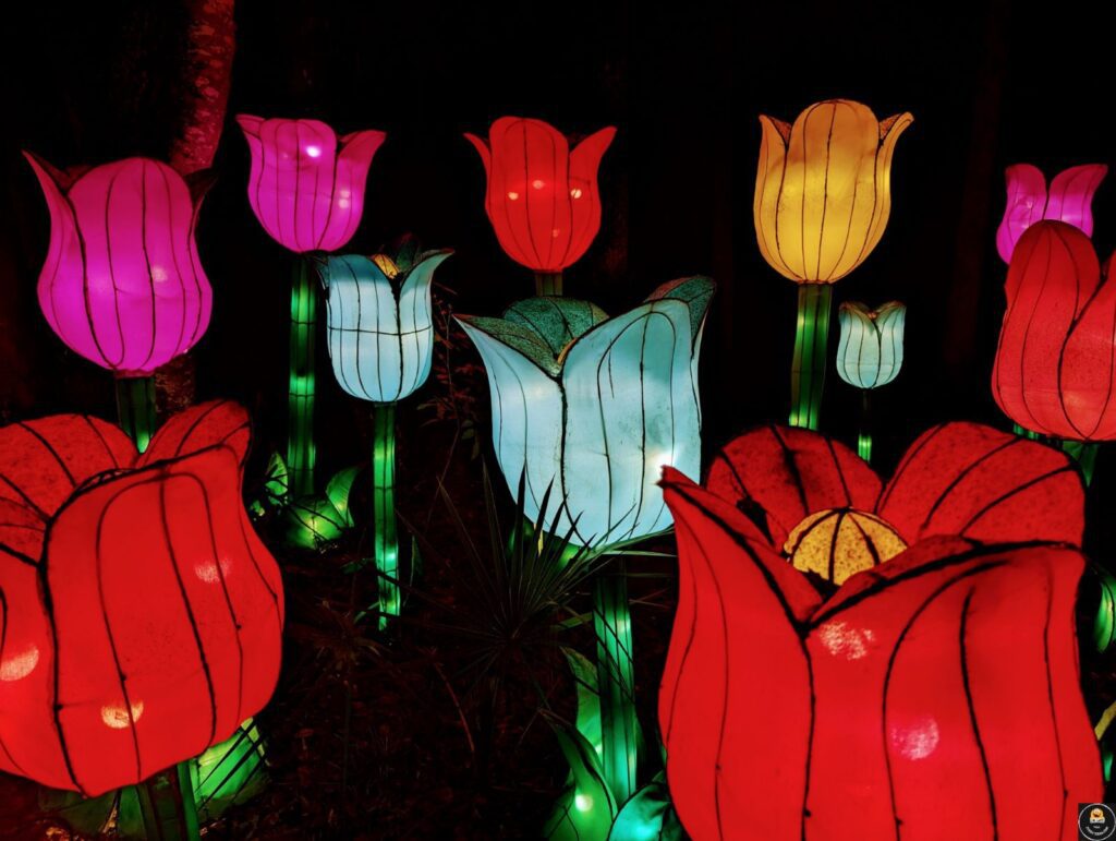 asian lantern festival