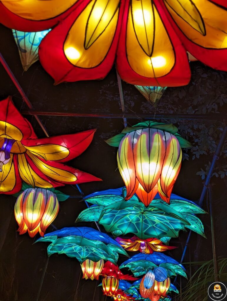 asian lantern festival