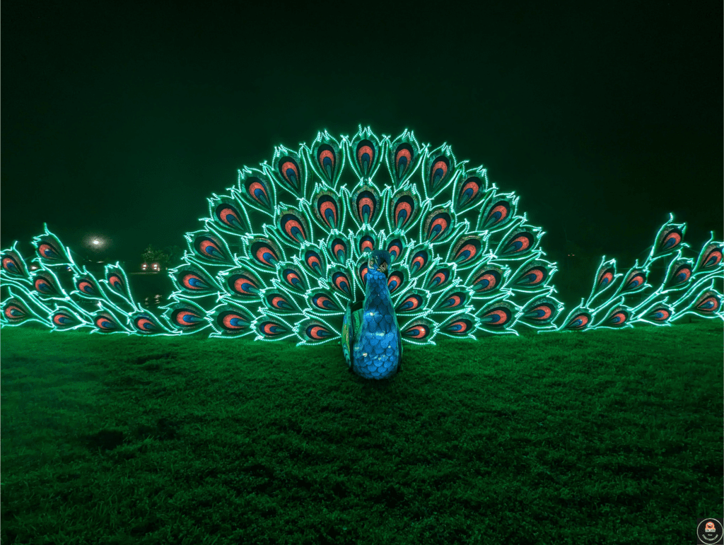 asian lantern festival