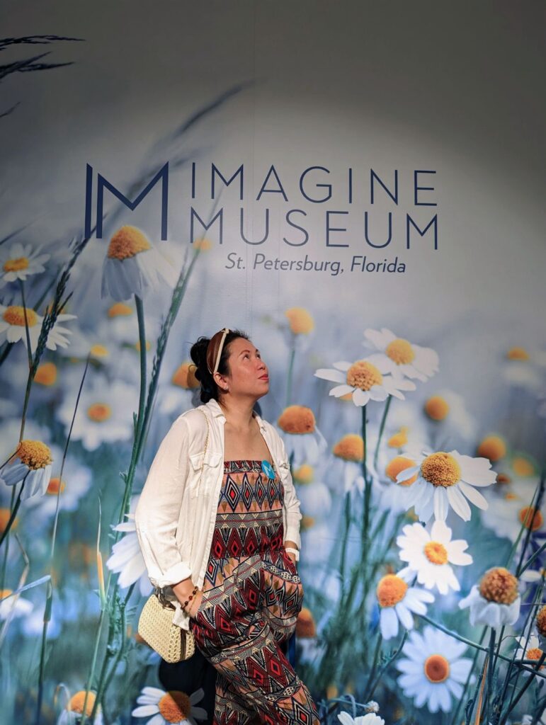 imagine museum st pete