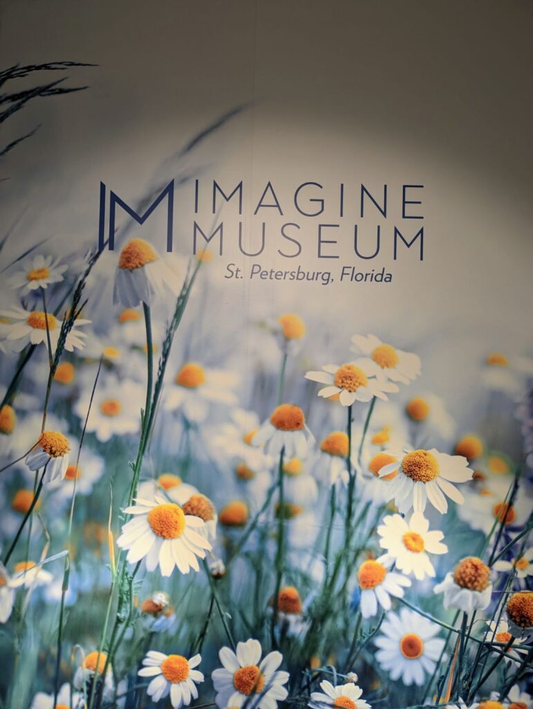 imagine museum contemporary glass art st. pete florida