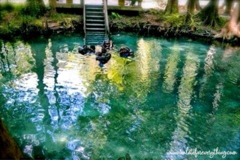 ginnie springs outdoor adventure