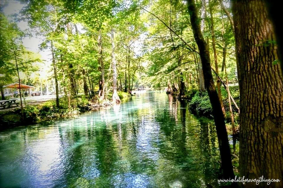 ginnie springs outdoor adventure