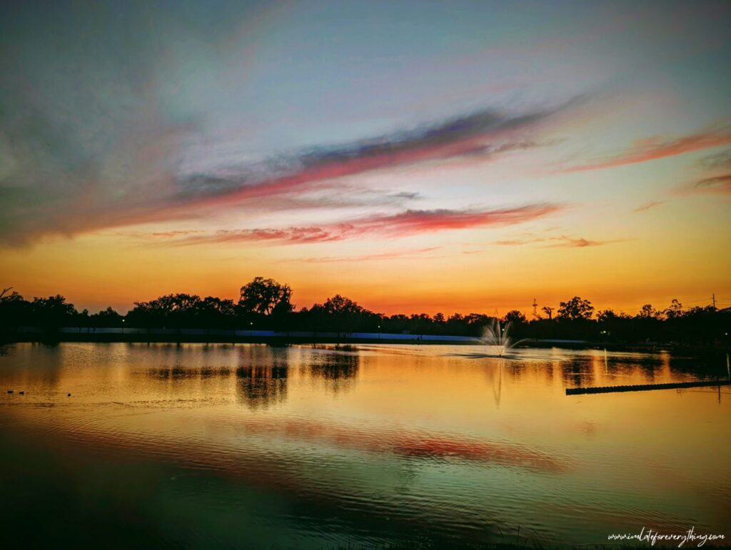 sunset photography florida