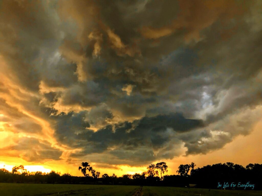 sunset photography florida