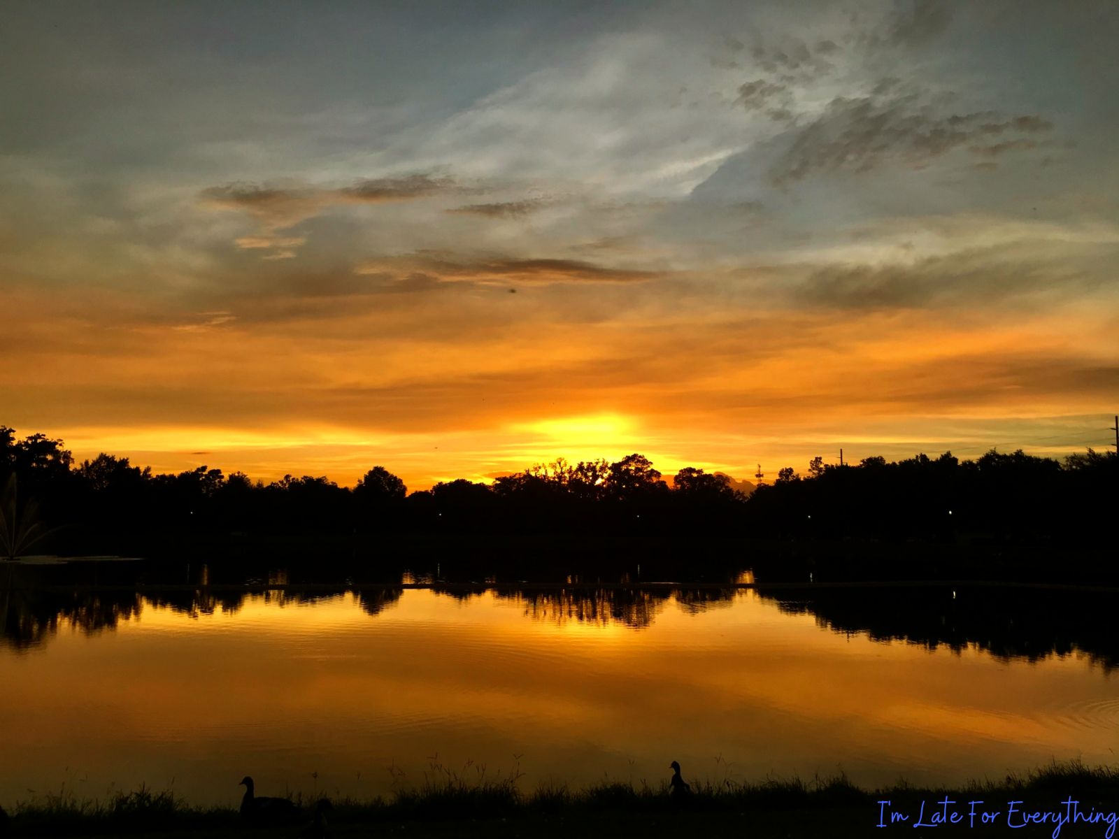 sunset photography florida