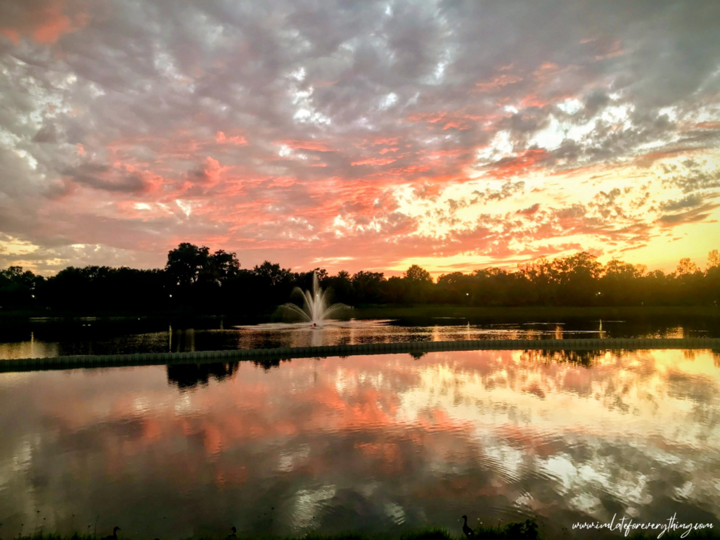 sunset photography florida