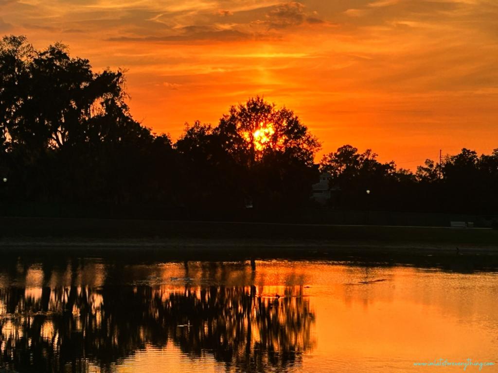 sunset photography florida