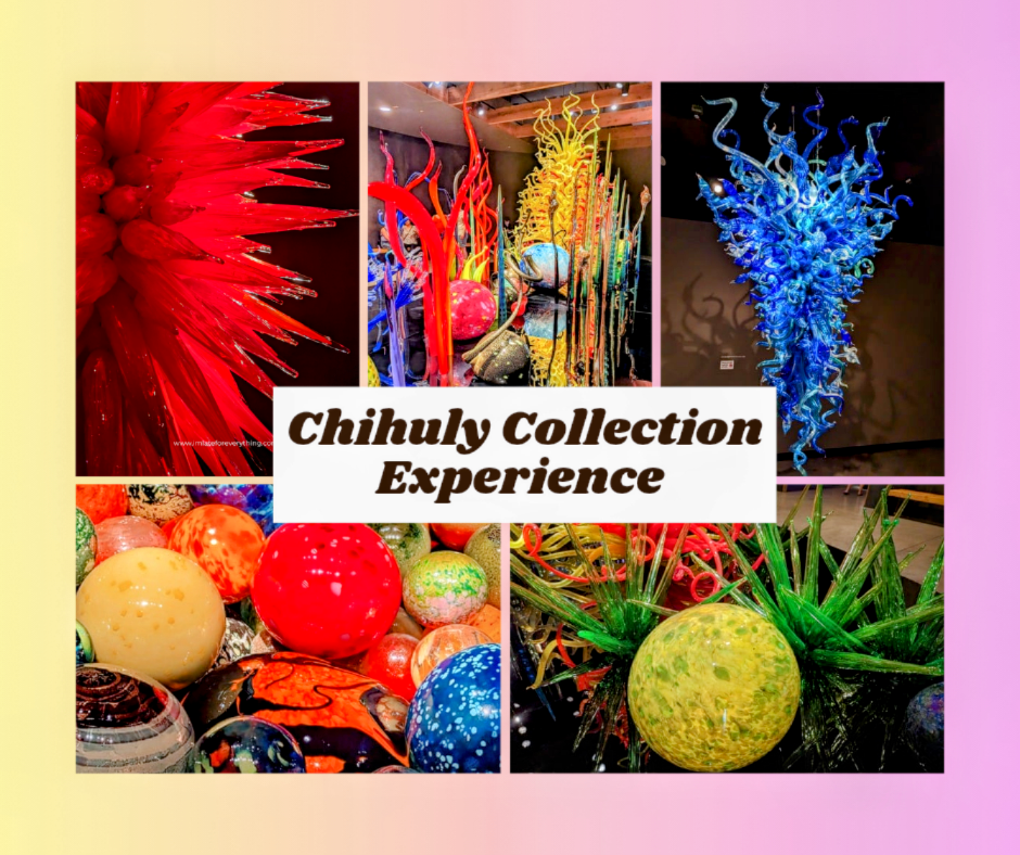 chihuly collection st. pete florida