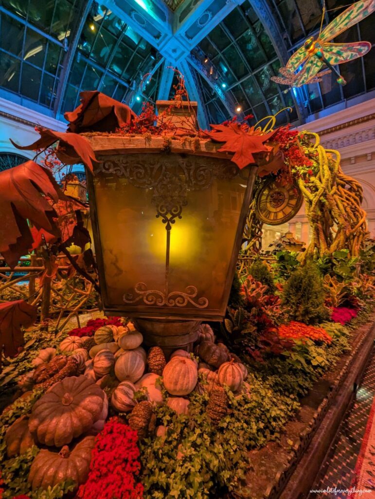 bellagio conservatory & botanical gardens fall theme the garden of time