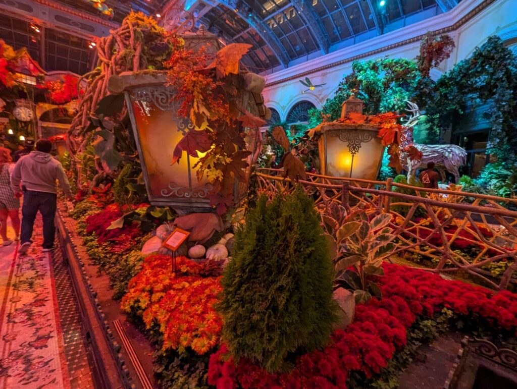 bellagio conservatory & botanical gardens fall theme the garden of time