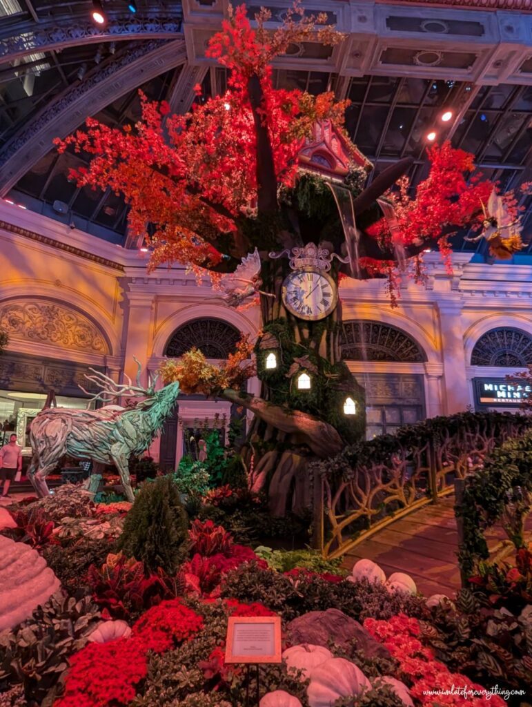 bellagio conservatory & botanical gardens fall theme the garden of time