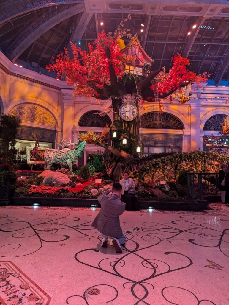 bellagio conservatory & botanical gardens fall theme the garden of time