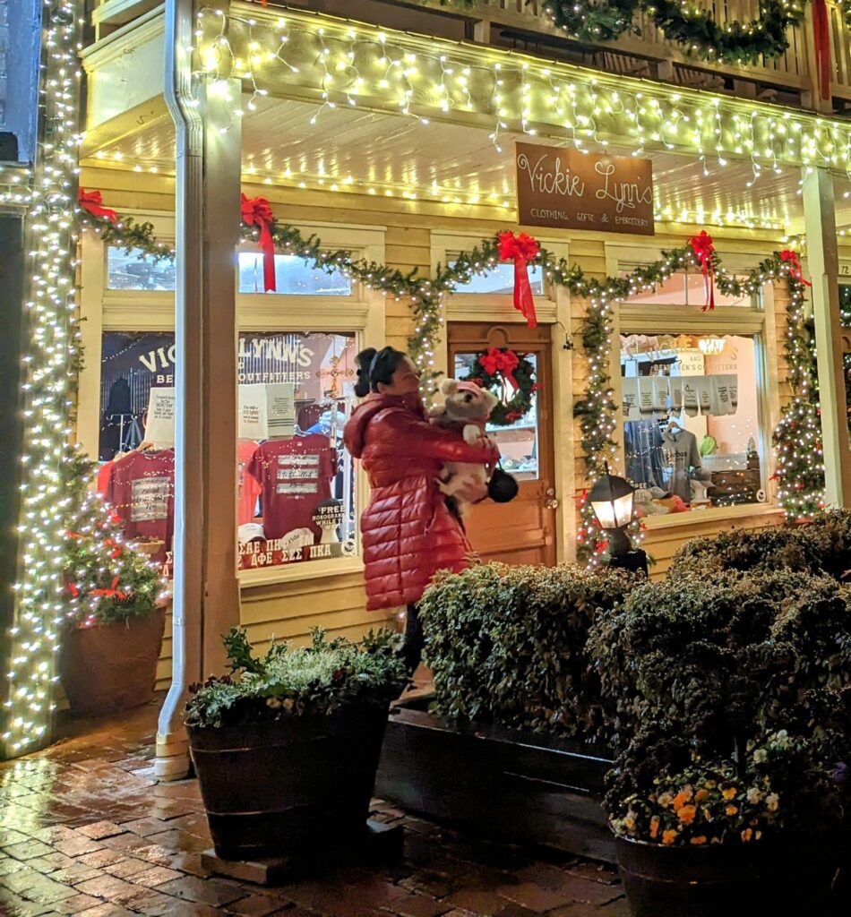 boutiques in dahlonega georgia